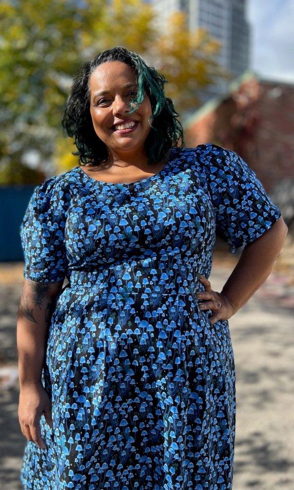 Birds of North America Winter Chippy Dress