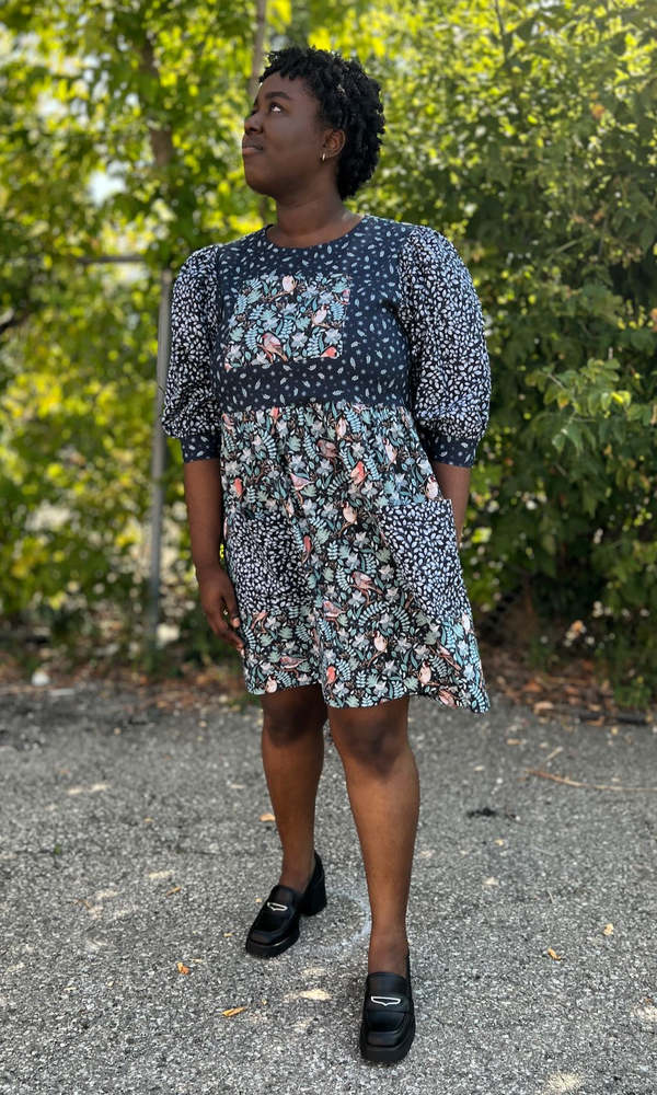 Birds of North America Fairywren Dress - Nest Friends