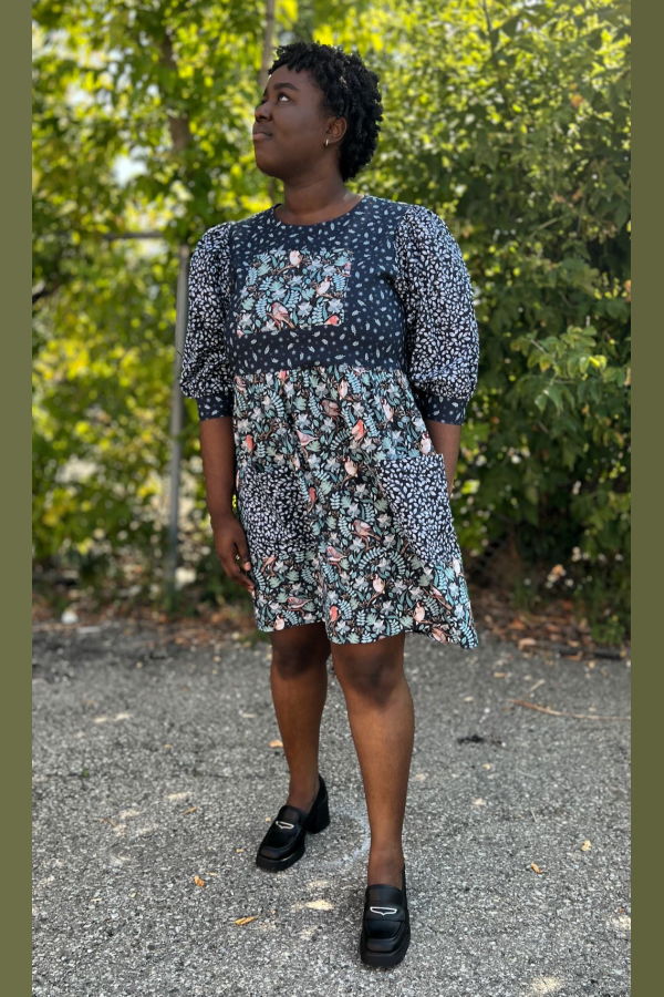 Birds of North America Fairywren Dress - Nest Friends