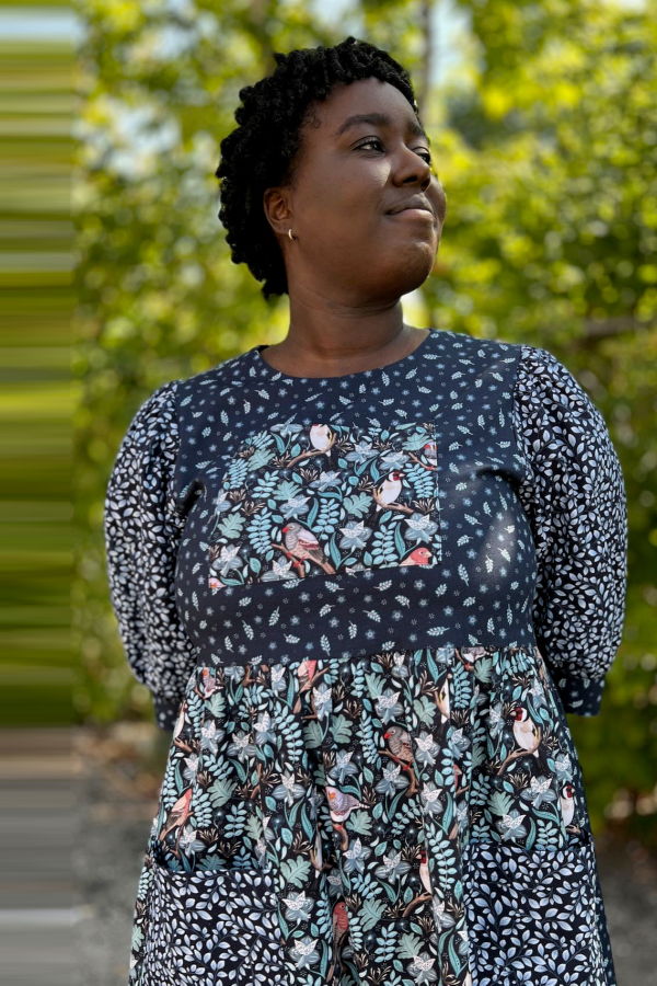 Birds of North America Fairywren Dress - Nest Friends