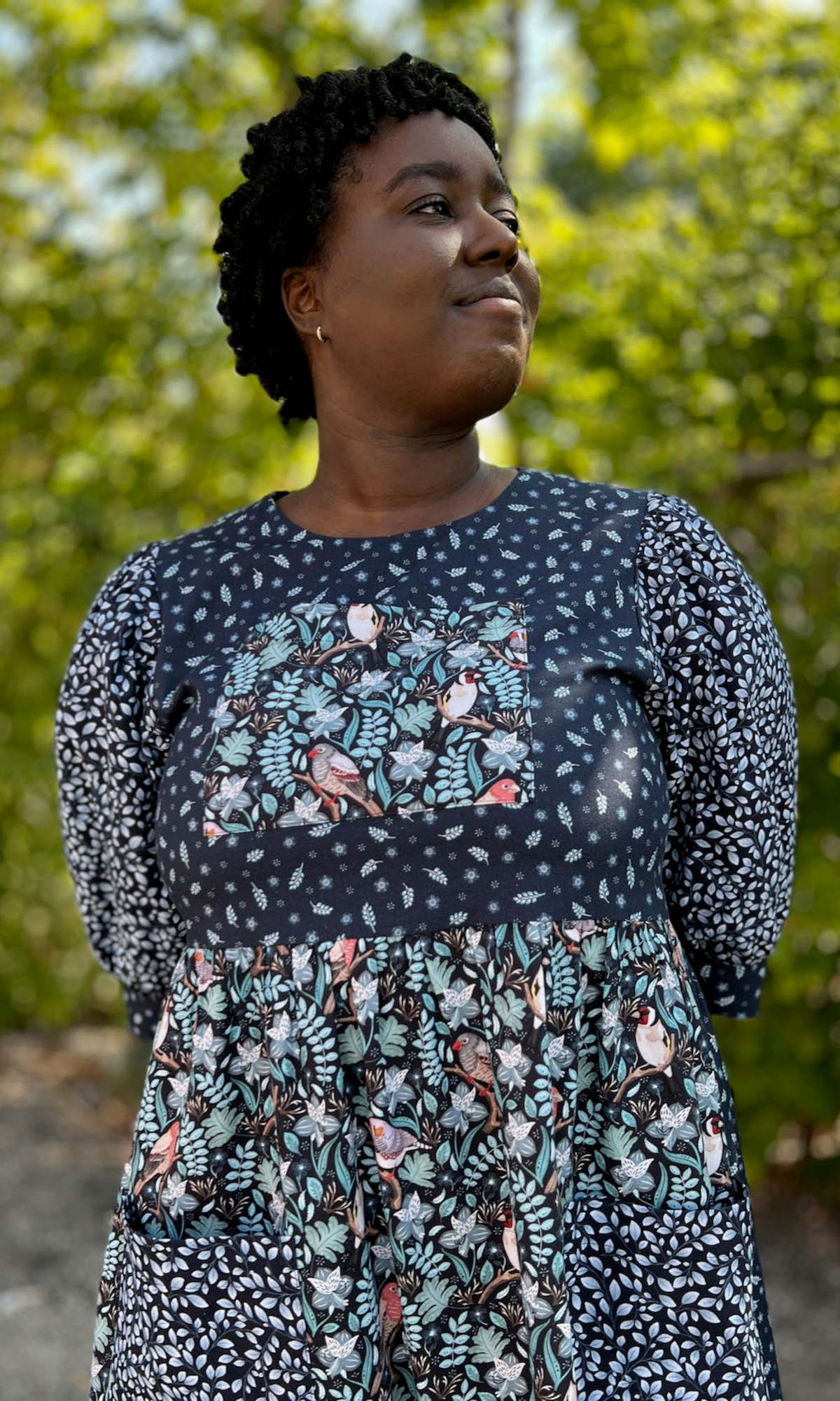 Birds of North America Fairywren Dress - Nest Friends - Image 2 of 20