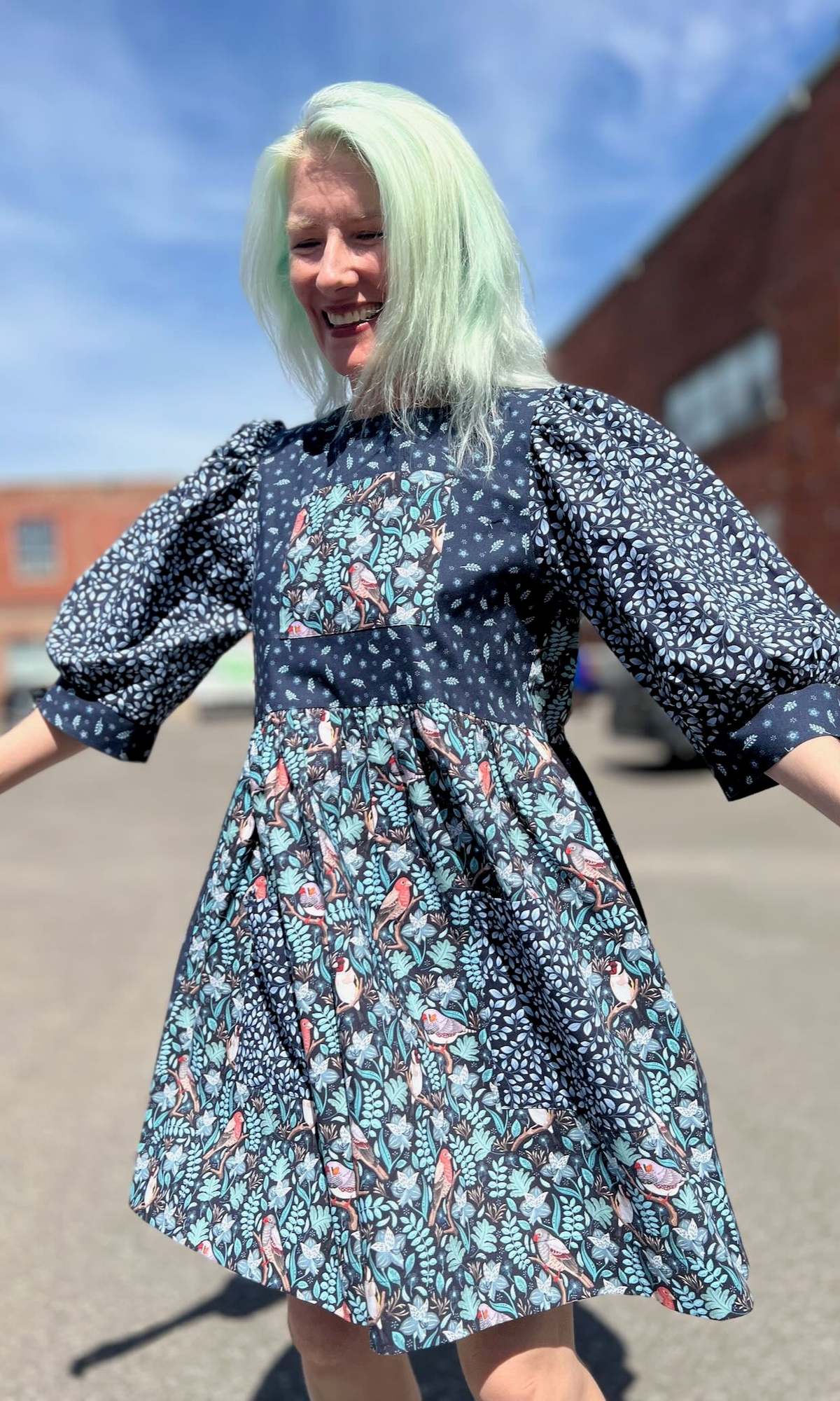 Birds of North America Fairywren Dress - Nest Friends - Image 4 of 20