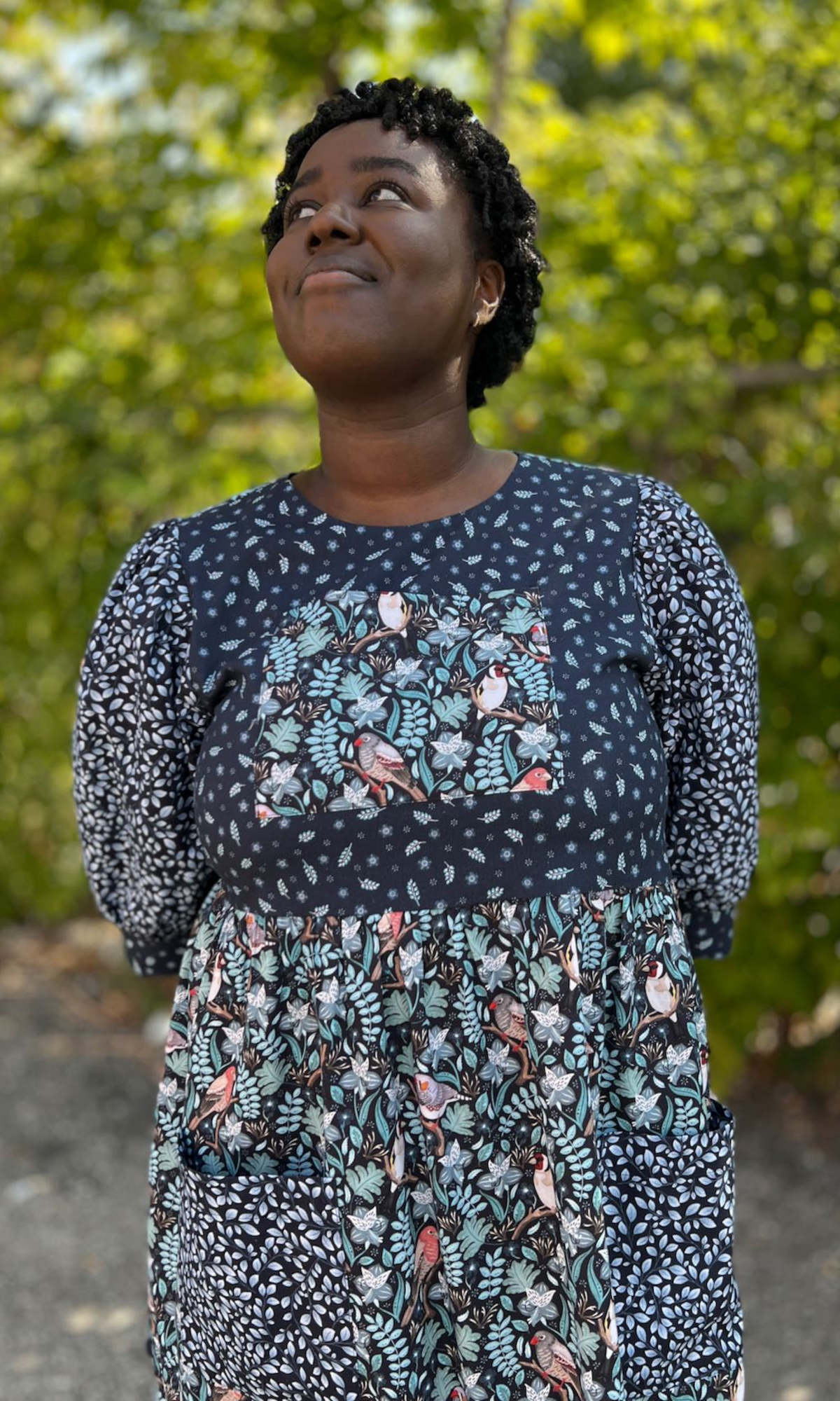 Birds of North America Fairywren Dress - Nest Friends - Image 13 of 20