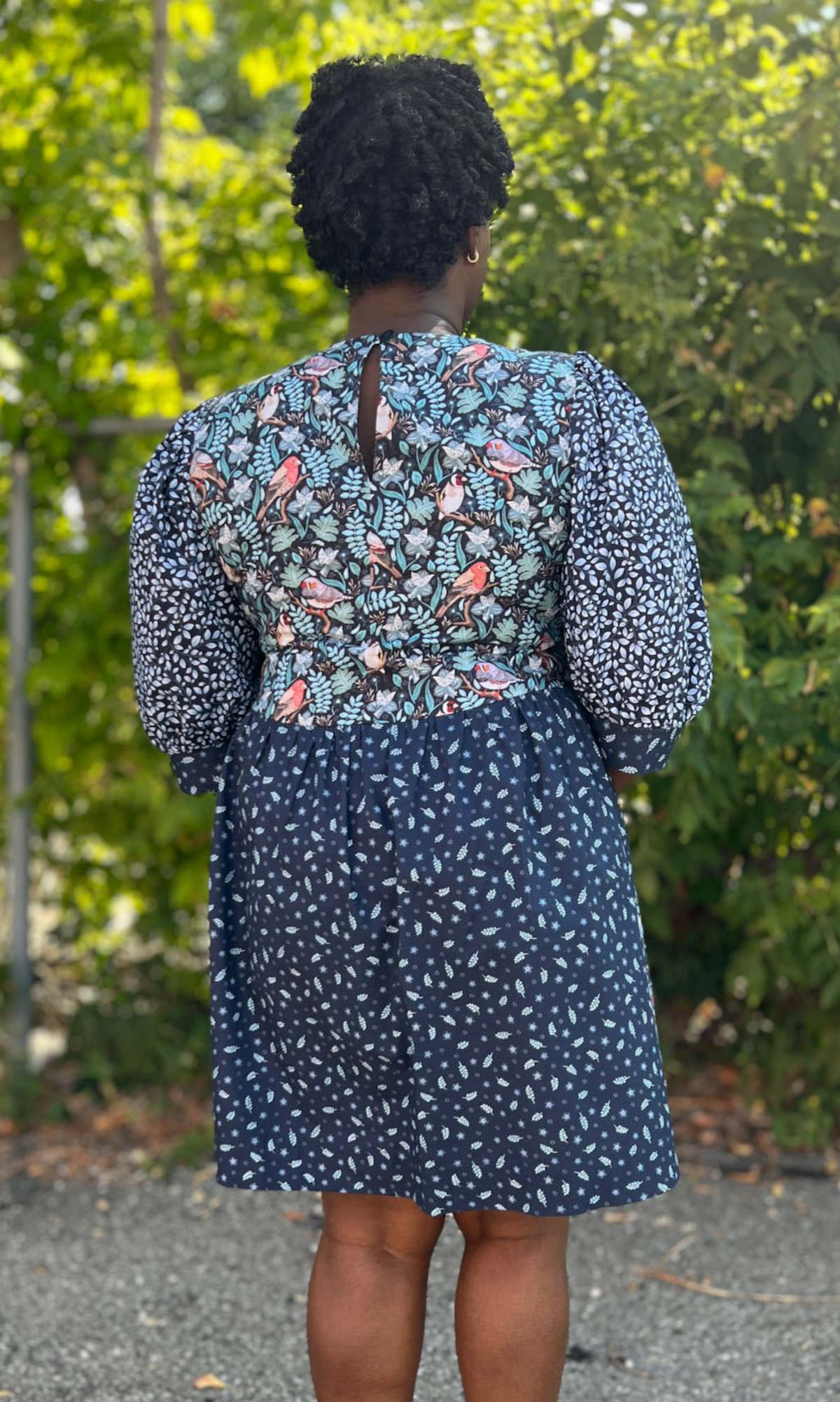 Birds of North America Fairywren Dress - Nest Friends - Image 15 of 20