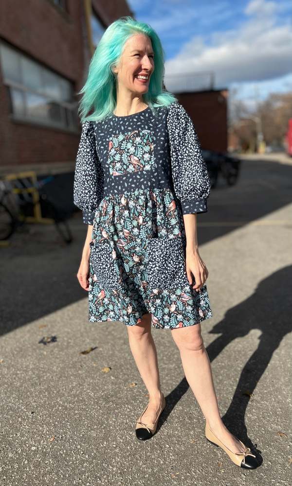 Birds of North America Fairywren Dress - Nest Friends