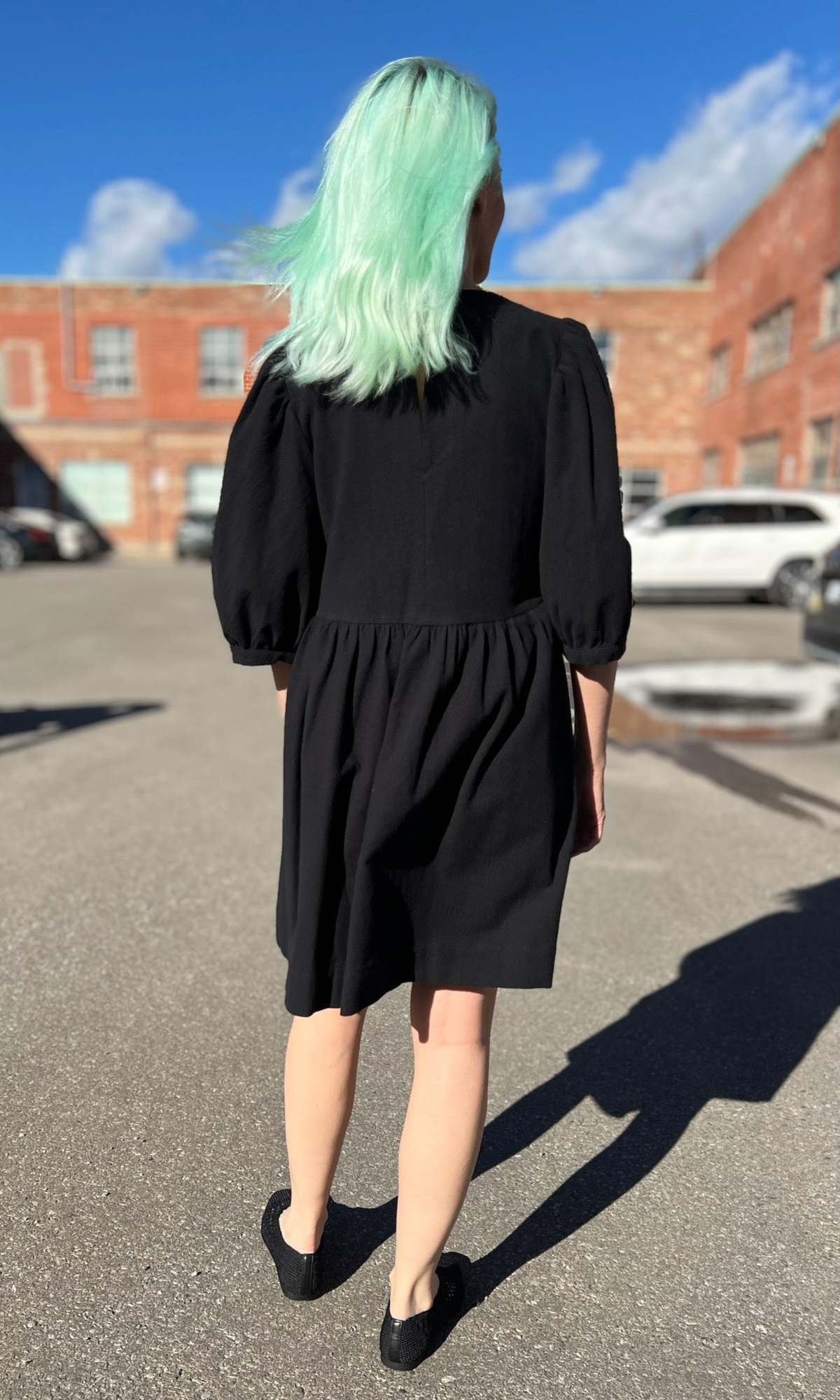 Birds of North America Flowerpiercer Dress - Image 10 of 11