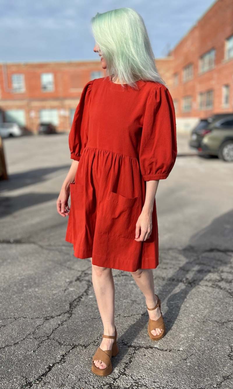 Birds of North America Flowerpiercer Dress