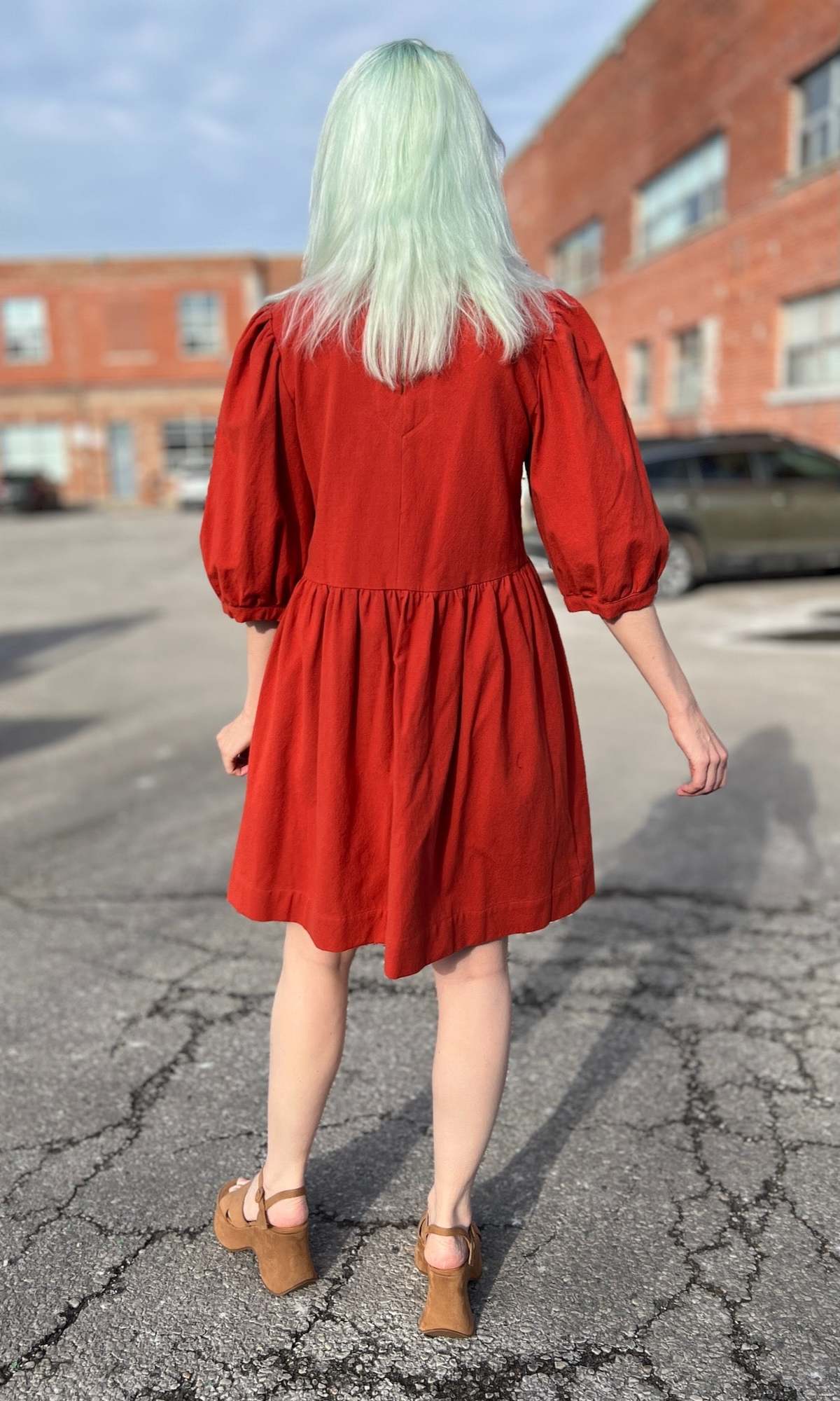 Birds of North America Flowerpiercer Dress - Image 11 of 13