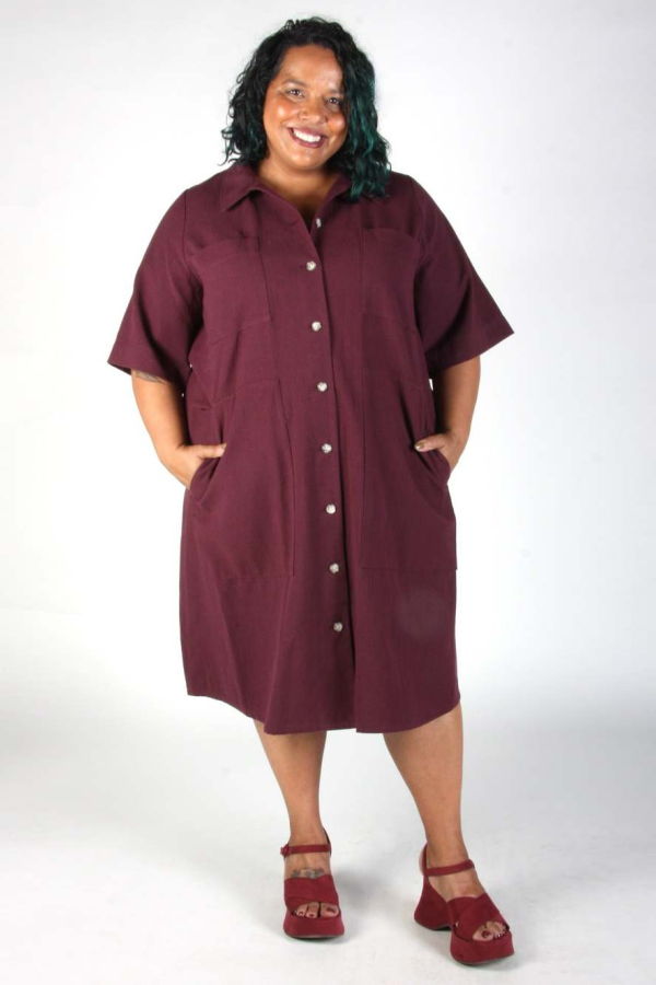 Birds of North America Ladyhawk Dress