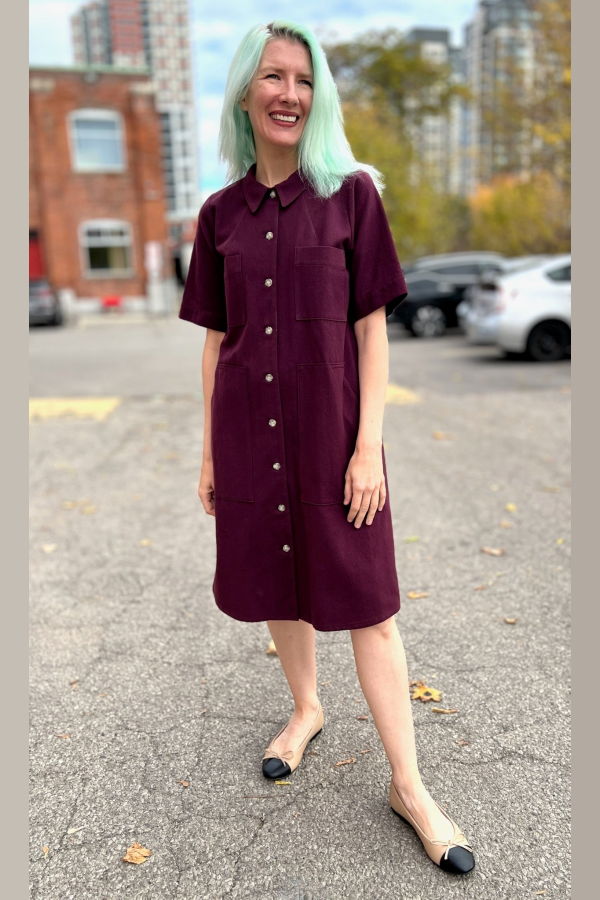 Birds of North America Ladyhawk Dress