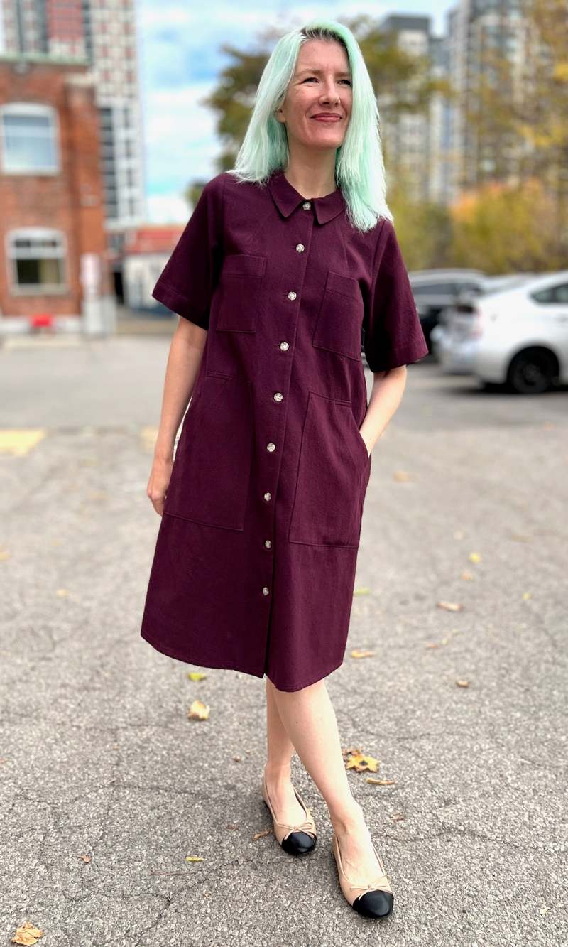 Birds of North America Ladyhawk Dress