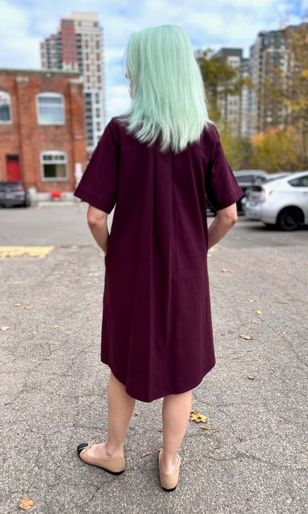 Birds of North America Ladyhawk Dress