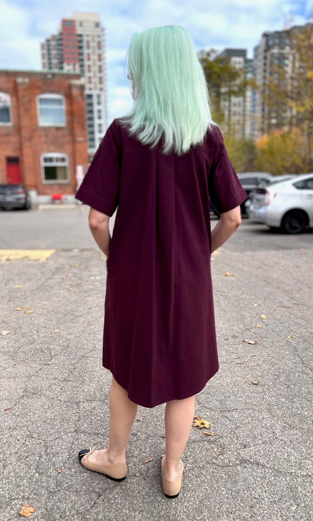 Birds of North America Ladyhawk Dress - Image 8 of 11