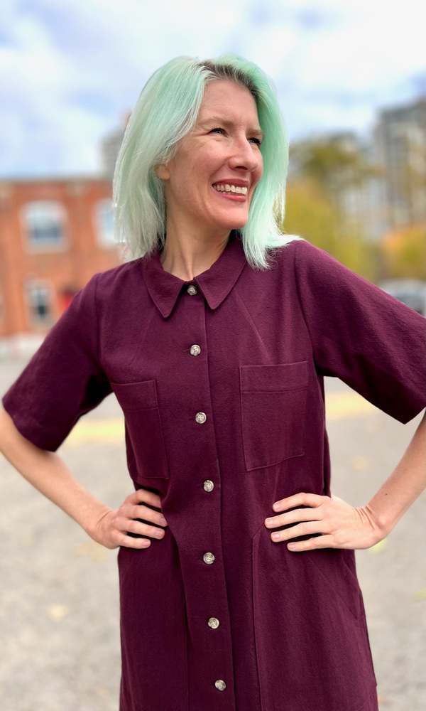 Birds of North America Ladyhawk Dress