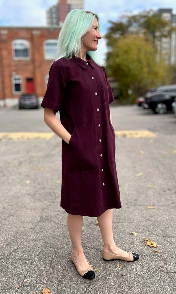 Birds of North America Ladyhawk Dress