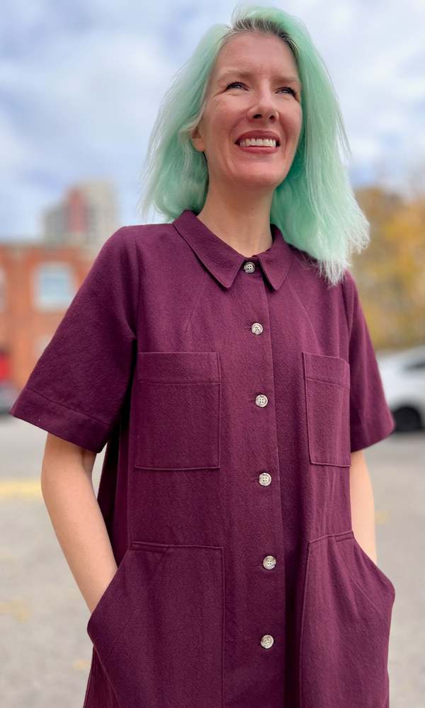 Birds of North America Ladyhawk Dress