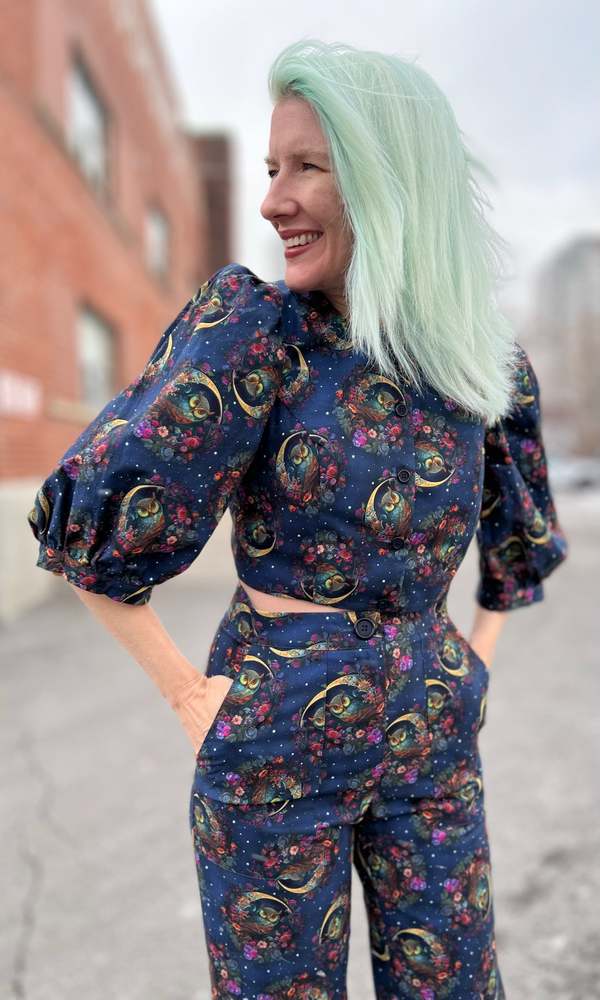 Birds of North America Robin Top