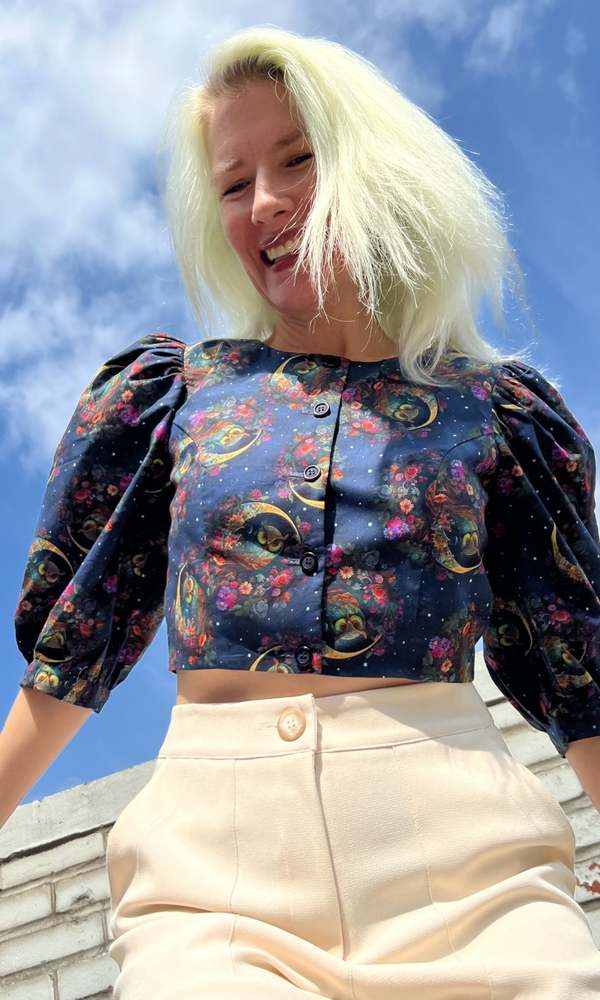 Birds of North America Robin Top