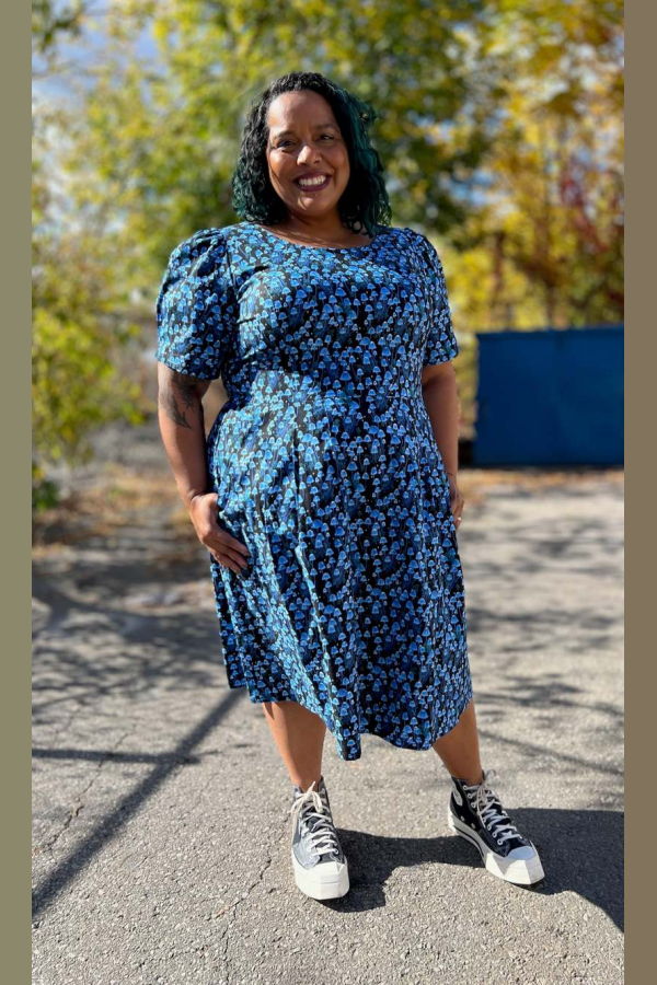 Birds of North America Winter Chippy Dress - Shroominescence