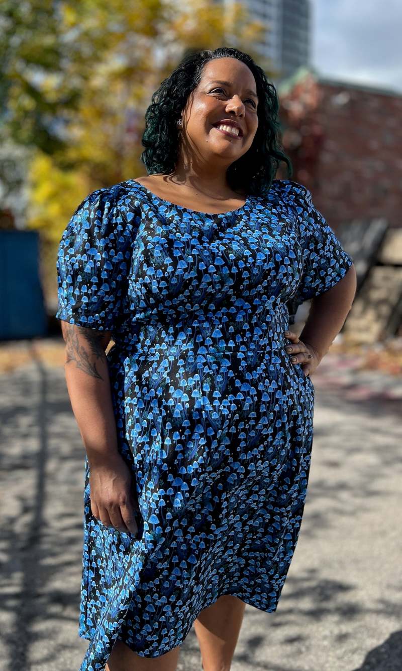 Birds of North America Winter Chippy Dress - Shroominescence