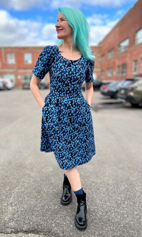 Birds of North America Winter Chippy Dress - Shroominescence