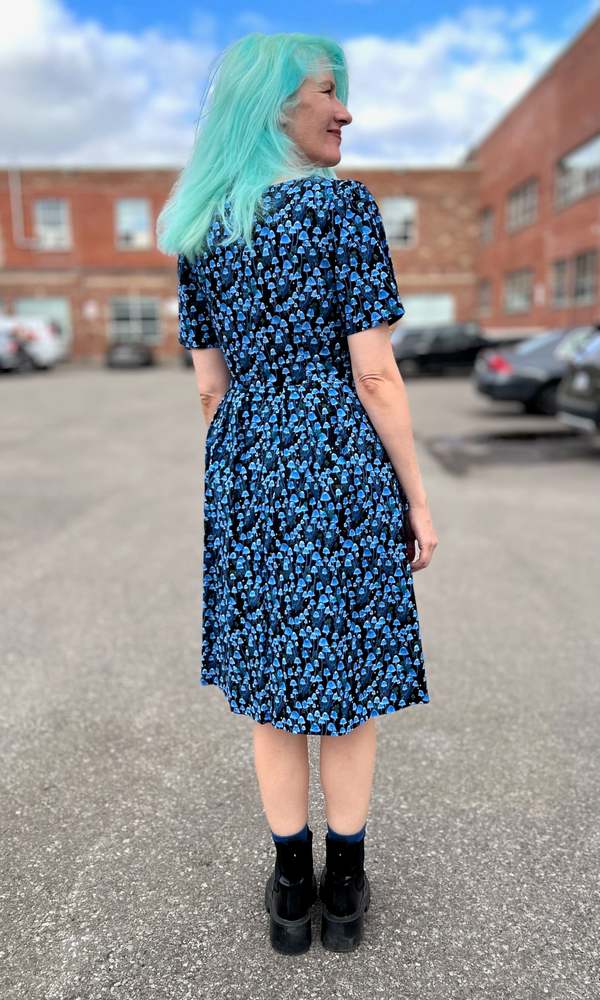 Birds of North America Winter Chippy Dress - Shroominescence