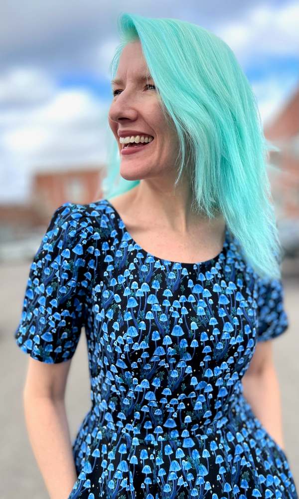 Birds of North America Winter Chippy Dress - Shroominescence