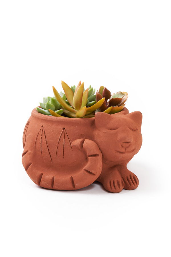 Matr Boomie Rakshana Cat Plant Pot