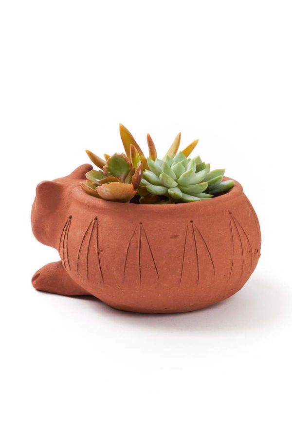 Matr Boomie Rakshana Cat Plant Pot