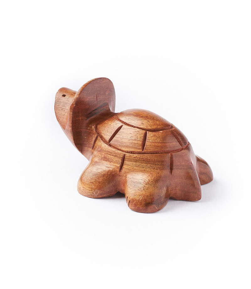 Matr Boomie Turtle Eyeglasses Holder - Indian Rosewood