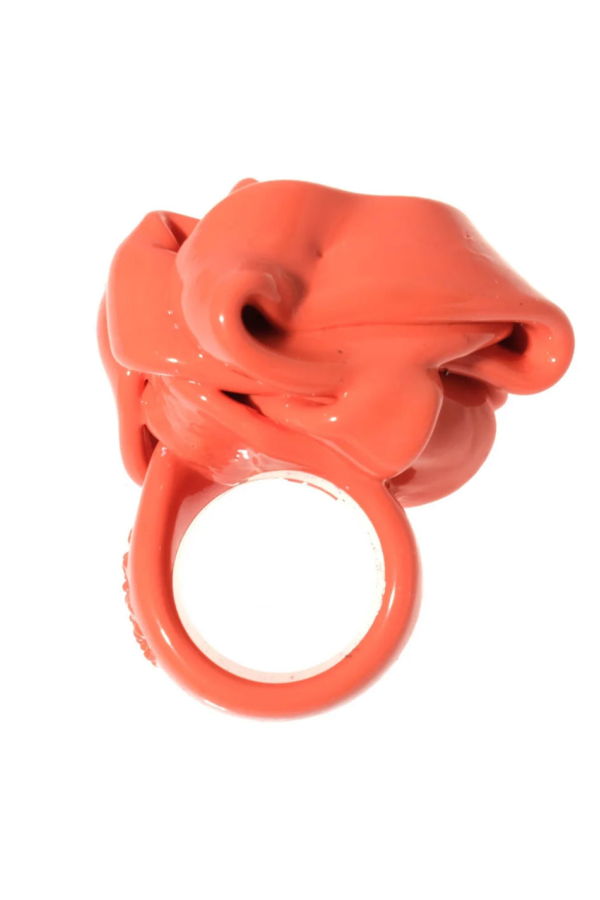 Fish Design Ribbon Ring