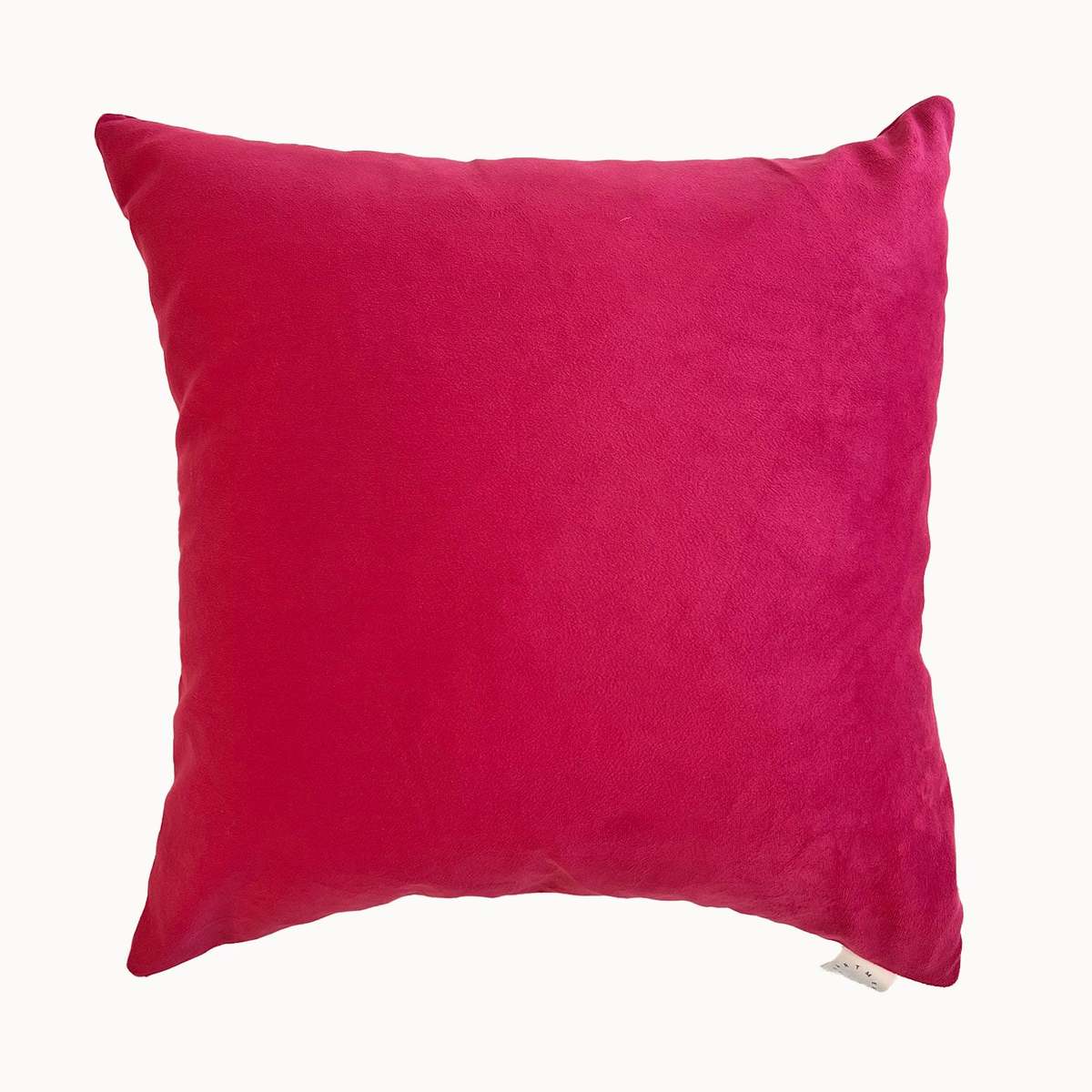 APARTMENT F Reversible Velvet Pillow - Image 1 of 4