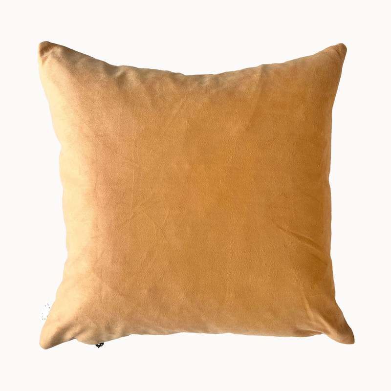 APARTMENT F Reversible Velvet Pillow
