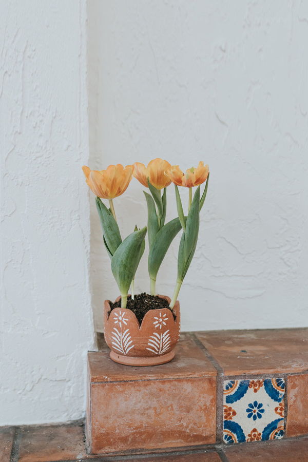 Matr Boomie Vasanta Petals Planter - Terracotta