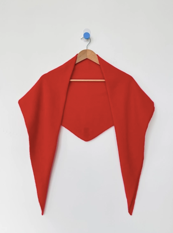 Le Bon Shoppe Cashmere Shawl Scarf