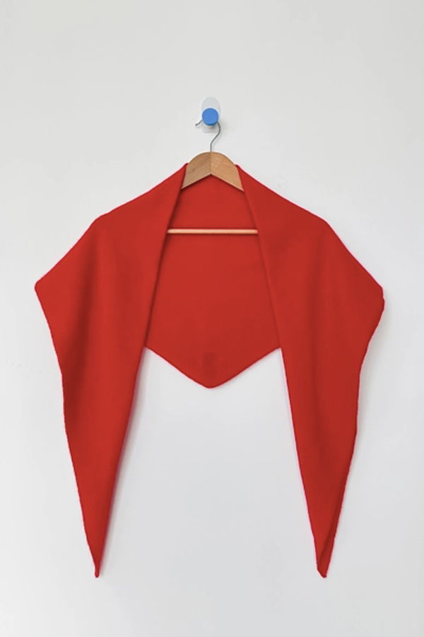 Le Bon Shoppe Cashmere Shawl Scarf