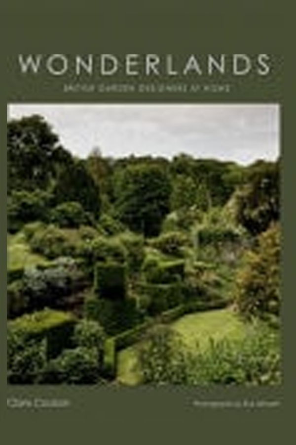 BabyLit A Christmas Carol: A BabyLit Colors Primer by Jennifer Adams Book