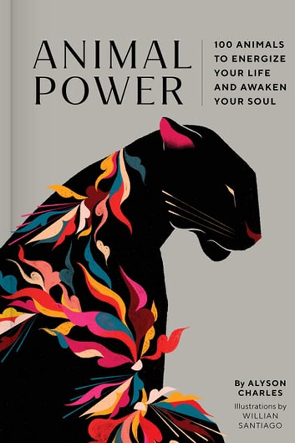 "Nature Meditations Deck: Simple Mindfulness Practices Inspired by the Natural World" by Kenya Jackson-Saulters Book