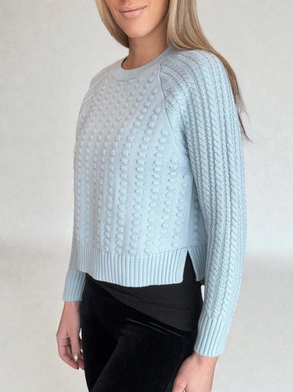 Autumn Cashmere Popcorn Raglan Crew Sweater