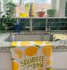 The Neighborgoods Lemon Dish Towel + Sponge Cloth Gift Set - Thumbnail 6