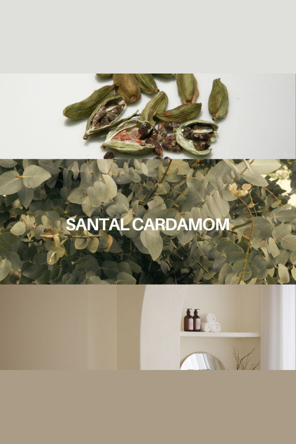 DeAndra Craigman Studios Santal Cardamom Room & Linen Spray