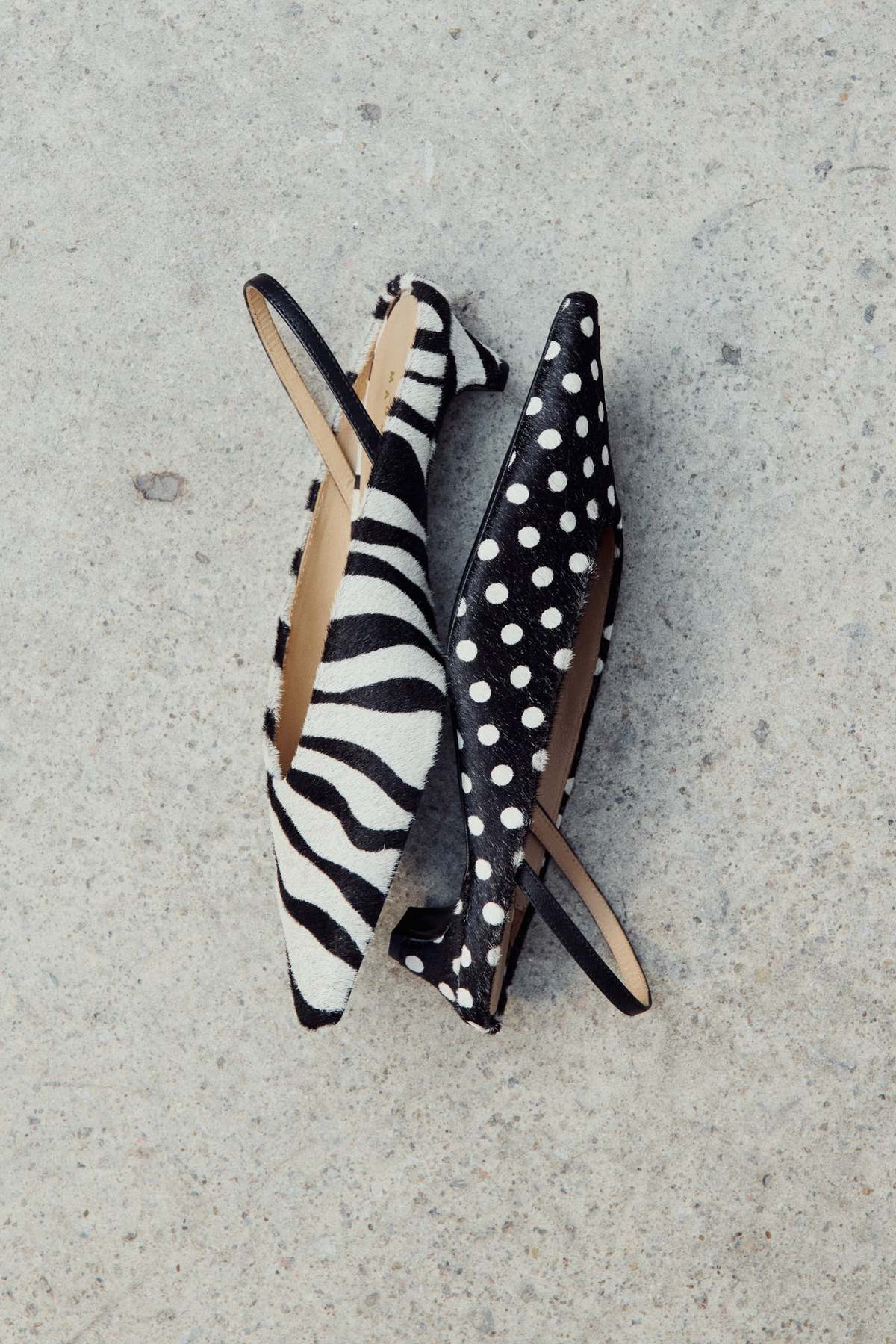 Maguire Floresta Zebra Pump Slingback Mule - Image 2 of 6
