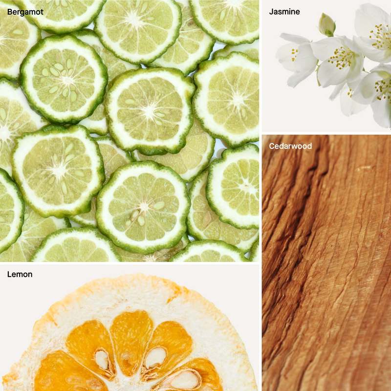 Dusa Fragrances Cedar Bergamot 4 fl oz Room & Linen Spray