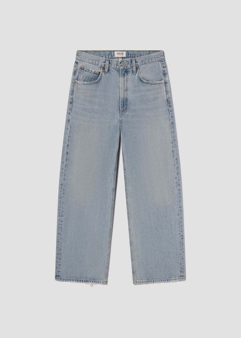AGOLDE Low Curve Jean in Force Jeans