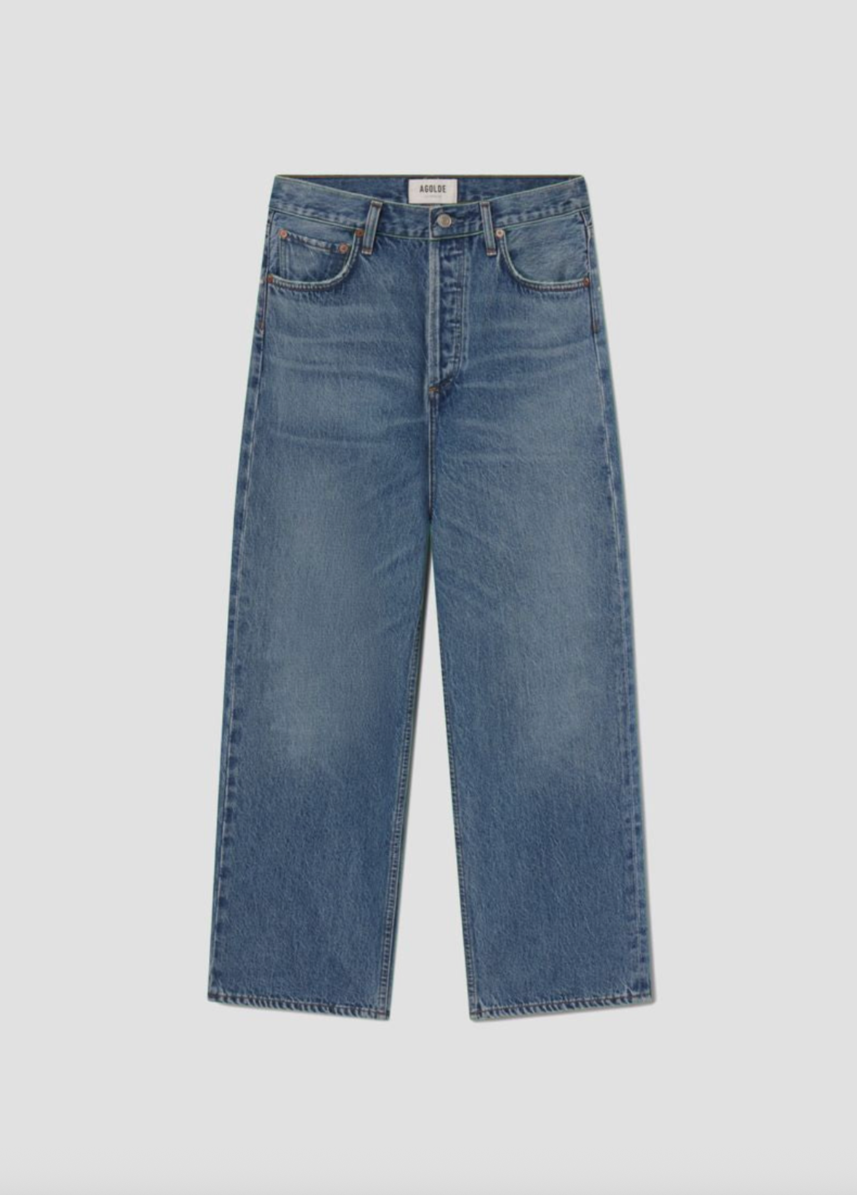 AGOLDE Ren Jean in Shrine Jeans - Image 6 of 6