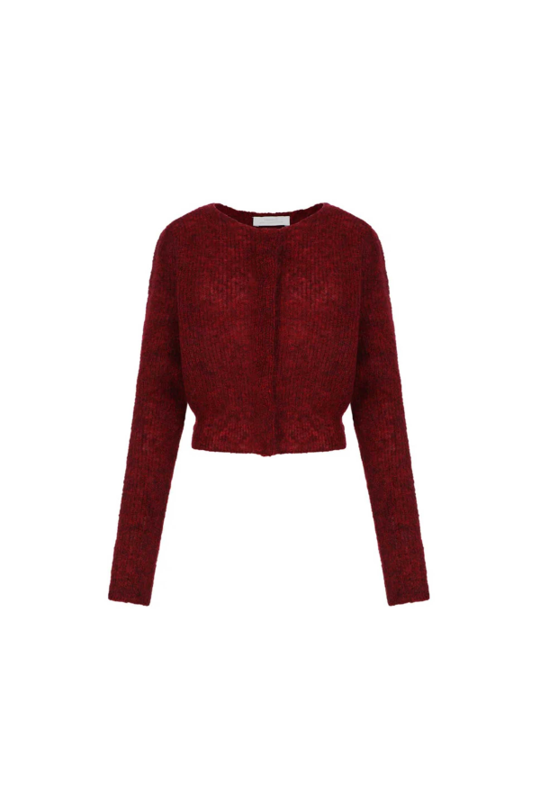 AMOMENTO Red Round Neck Sheer Cardigan