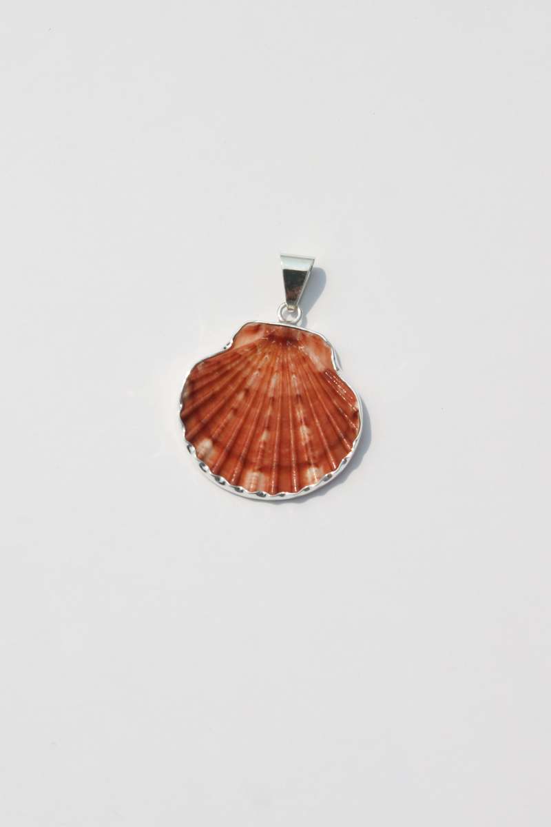 Odissea NY Medium Shell Pendants