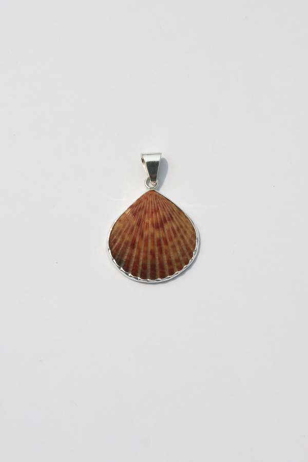 Odissea NY Medium Shell Pendants
