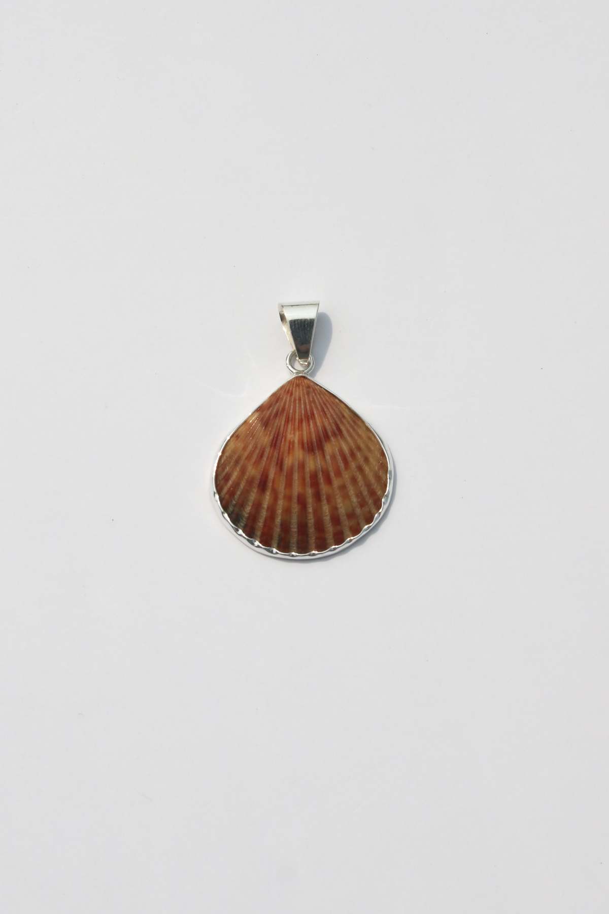 Odissea NY Medium Shell Pendants - Image 6 of 25