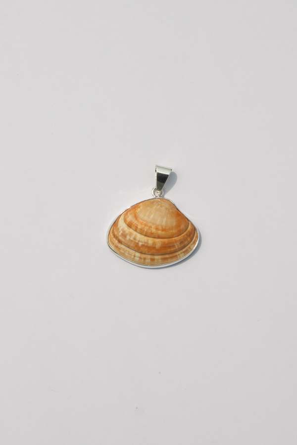 Odissea NY Medium Shell Pendants